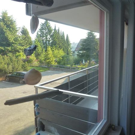Moderne, Ruhige Ferienwohnung In Braunlage Harz Inkl Wlan & Netflix Екстериор снимка