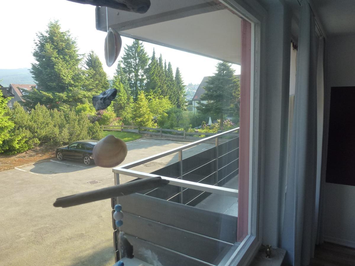 Moderne, Ruhige Ferienwohnung In Braunlage Harz Inkl Wlan & Netflix Екстериор снимка