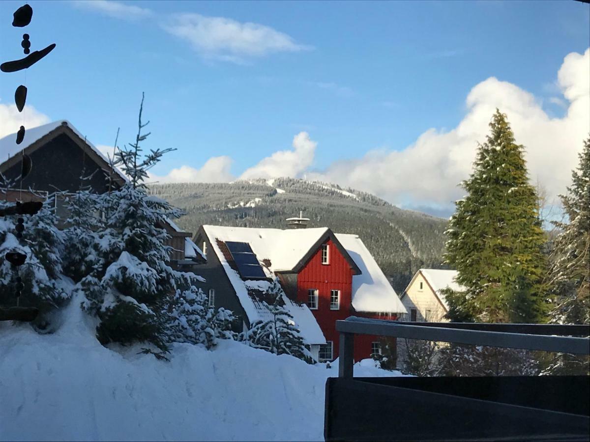 Moderne, Ruhige Ferienwohnung In Braunlage Harz Inkl Wlan & Netflix Екстериор снимка